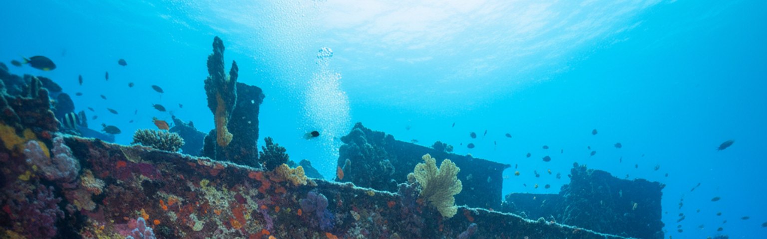 USS Liberty Wreck Dive